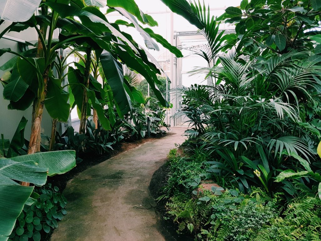 Le monde enchanteur du jardin